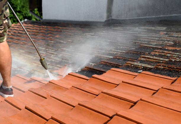 Best Exterior Home Cleaning  in Moxee, WA